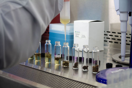 Laboratorio pipeteo