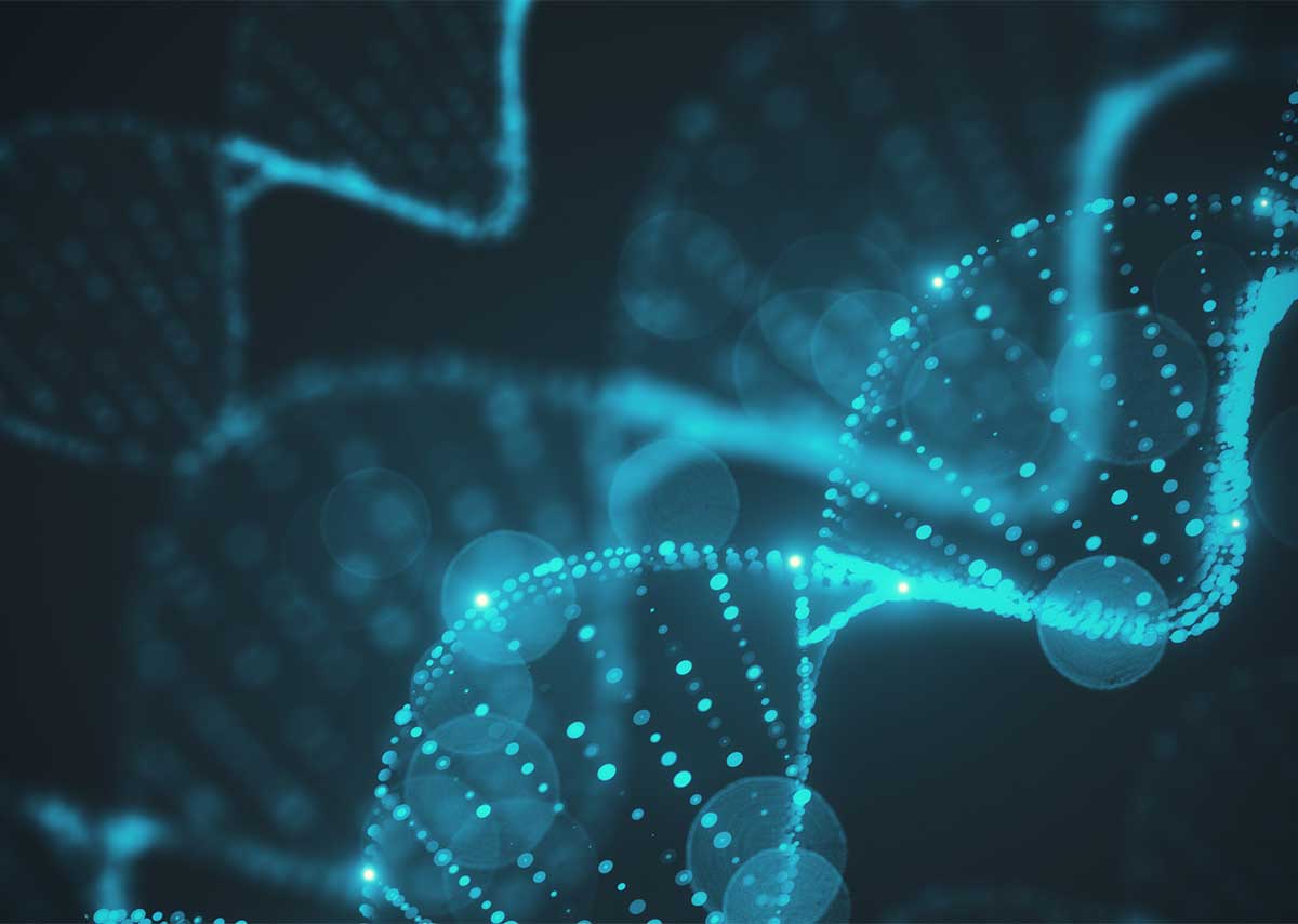 Hélices ADN Gentech
